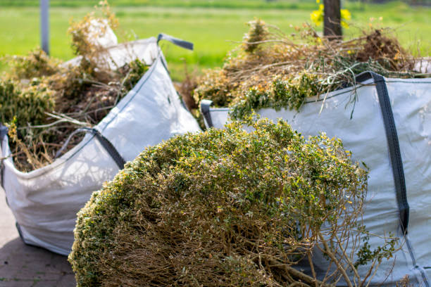 Best Professional Junk Removal  in White Pigeon, MI