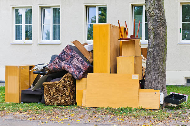 Best Electronics Removal Services  in White Pigeon, MI